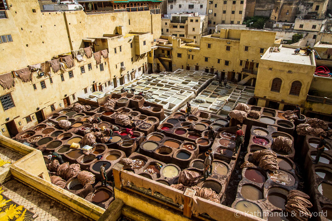 Leather's Hidden Costs