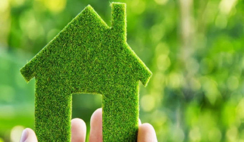5 Tiny Changes to Live More Sustainably