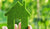 5 Tiny Changes to Live More Sustainably