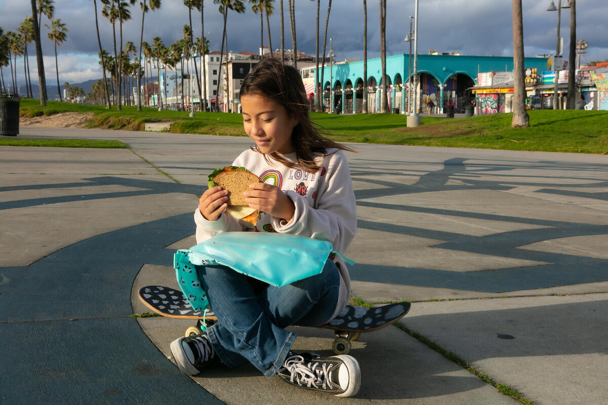 Reusable Sandwich Wrap by Boc&#39;n&#39;Roll