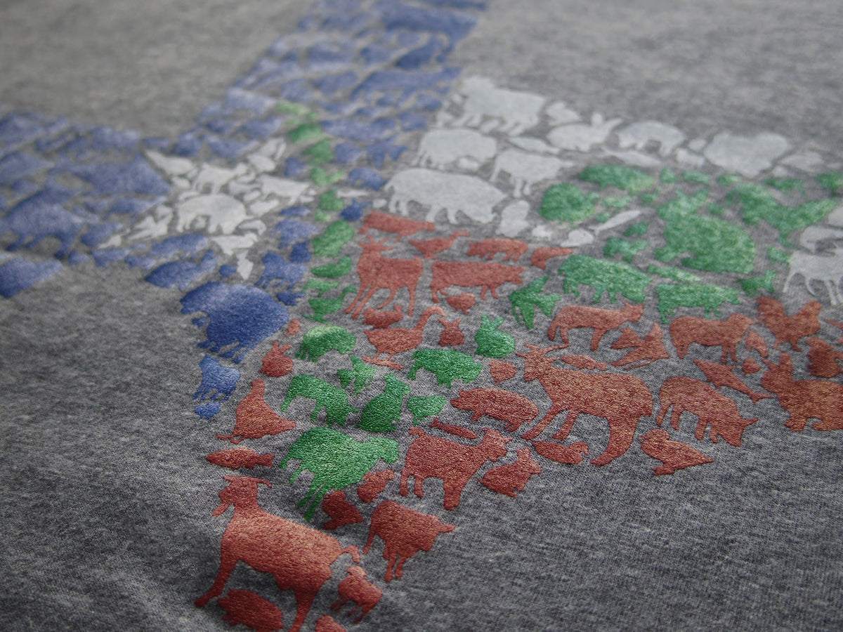 Texas Vegan Animal Flag Unisex Raglan Shirt by Compassionate Closet - Compassionate Closet